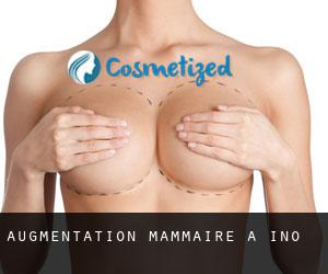 Augmentation mammaire à Ino