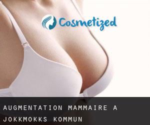 Augmentation mammaire à Jokkmokks Kommun