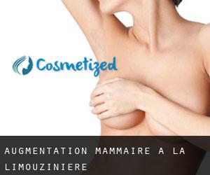 Augmentation mammaire à La Limouzinière