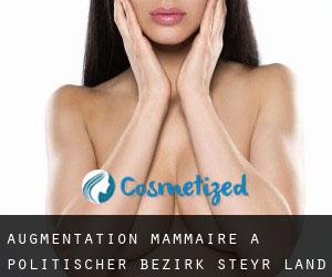 Augmentation mammaire à Politischer Bezirk Steyr-Land