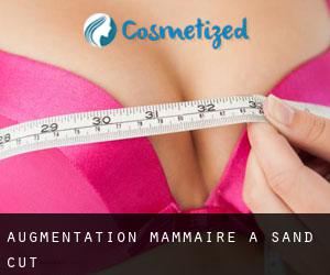 Augmentation mammaire à Sand Cut