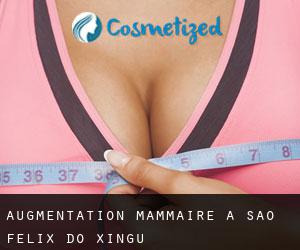 Augmentation mammaire à São Félix do Xingu