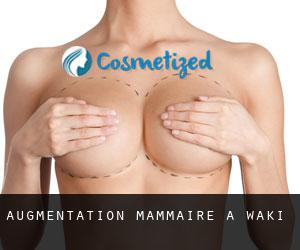 Augmentation mammaire à Waki
