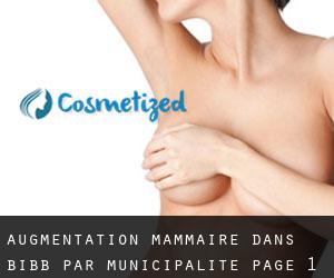 Augmentation mammaire dans Bibb par municipalité - page 1