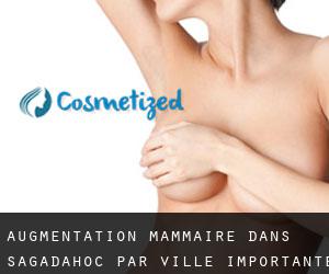 Augmentation mammaire dans Sagadahoc par ville importante - page 1