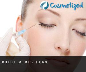Botox à Big Horn