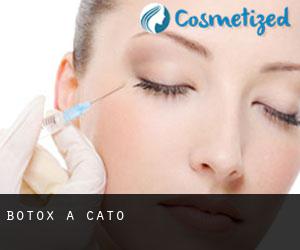 Botox à Cato