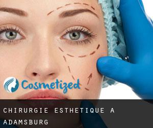 Chirurgie Esthétique à Adamsburg