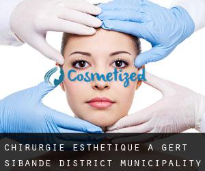 Chirurgie Esthétique à Gert Sibande District Municipality