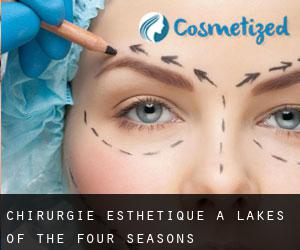 Chirurgie Esthétique à Lakes of the Four Seasons