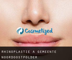 Rhinoplastie à Gemeente Noordoostpolder Rhinoplastie à Gemeente Noordoostpolder