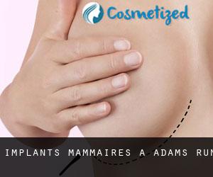 Implants mammaires à Adams Run