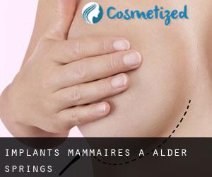 Implants mammaires à Alder Springs