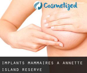 Implants mammaires à Annette Island Reserve