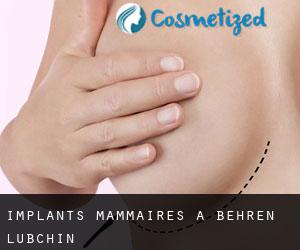Implants mammaires à Behren-Lübchin