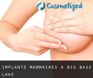 Implants mammaires à Big Bass Lake