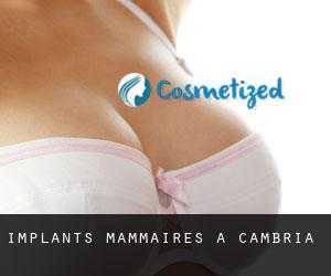 Implants mammaires à Cambria