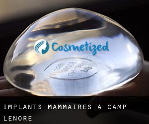 Implants mammaires à Camp Lenore