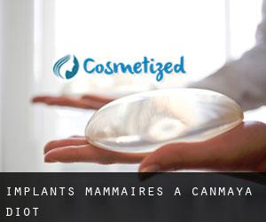 Implants mammaires à Canmaya Diot