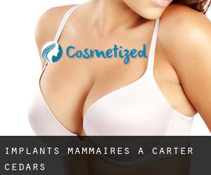 Implants mammaires à Carter Cedars