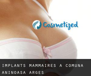 Implants mammaires à Comuna Aninoasa (Argeş)