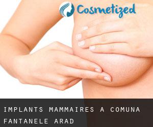 Implants mammaires à Comuna Fântânele (Arad)