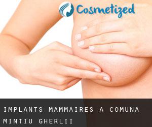 Implants mammaires à Comuna Mintiu Gherlii