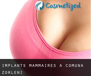 Implants mammaires à Comuna Zorleni