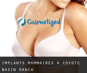 Implants mammaires à Coyote Basin Ranch