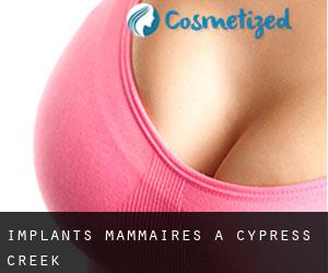 Implants mammaires à Cypress Creek