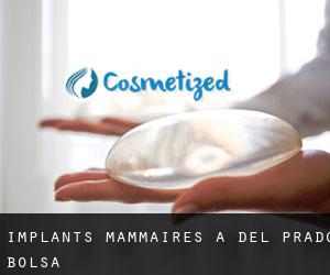 Implants mammaires à Del Prado Bolsa