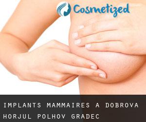 Implants mammaires à Dobrova-Horjul-Polhov Gradec