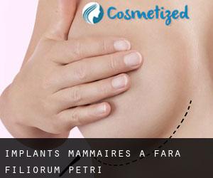 Implants mammaires à Fara Filiorum Petri