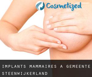 Implants mammaires à Gemeente Steenwijkerland