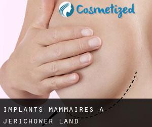 Implants mammaires à Jerichower Land