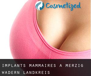Implants mammaires à Merzig-Wadern Landkreis