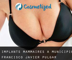 Implants mammaires à Municipio Francisco Javier Pulgar