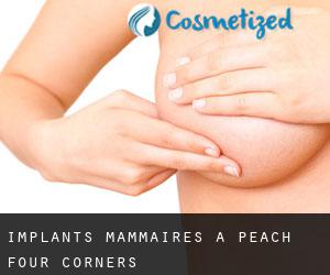 Implants mammaires à Peach Four Corners