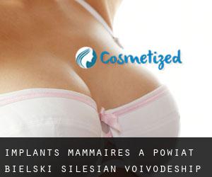Implants mammaires à Powiat bielski (Silesian Voivodeship)
