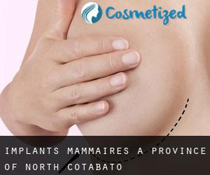 Implants mammaires à Province of North Cotabato