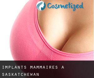 Implants mammaires à Saskatchewan Implants mammaires à Saskatchewan