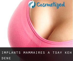 Implants mammaires à Tsay Keh Dene