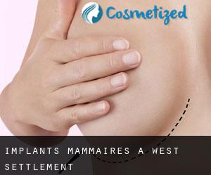 Implants mammaires à West Settlement