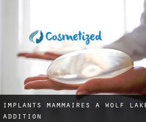 Implants mammaires à Wolf Lake Addition