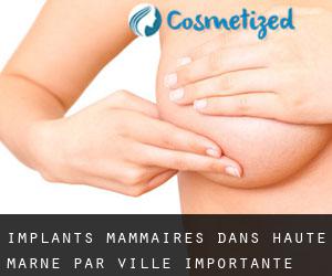 Implants mammaires dans Haute-Marne par ville importante - page 2