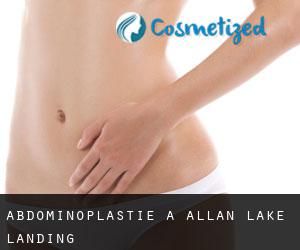 Abdominoplastie à Allan Lake Landing