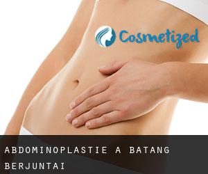 Abdominoplastie à Batang Berjuntai