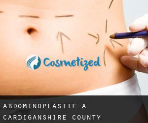 Abdominoplastie à Cardiganshire County