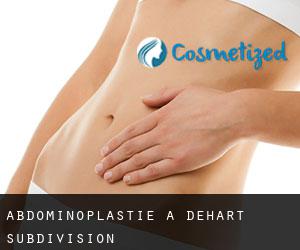 Abdominoplastie à DeHart Subdivision