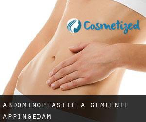 Abdominoplastie à Gemeente Appingedam
